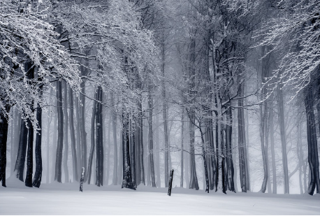 哈尔滨德国博世锅炉今天天气